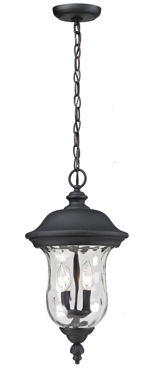 Armstrong 2 Light Outdoor Chain Light in Black