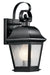 Mount Vernon Outdoor Wall 1-Light in Black