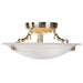 Oasis 3 Light Ceiling Mount in Polished Brass