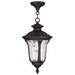 Oxford 1 Light Chain Lantern in Bronze