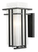 Abbey 1 Light Outdoor Wall Light in Oil Rubbed Bronze