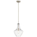 Everly Pendant 1-Light in Brushed Nickel - Lamps Expo