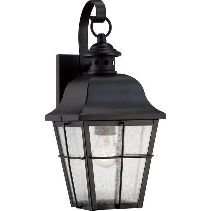 Millhouse 1-Light Outdoor Lantern in Mystic Black