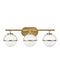 Hollis Three Light Vanity in Heritage Brass