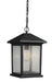 Portland 1 Light Outdoor Chain Light in Rubbed Bronze with Clear Seedy Glass