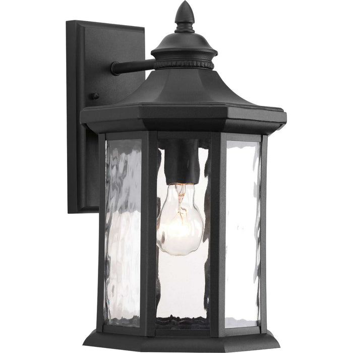Edition 1-Light Large Wall Lantern with Black / Clear Water Glass