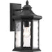 Edition 1-Light Large Wall Lantern with Black / Clear Water Glass