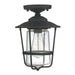 Creekside 1 Light Outdoor Flush and Semi-Flush in Black