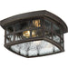 Stonington 2-Light Outdoor Lantern in Palladian Bronze