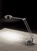 Estiluz (M-1137-37) Desk Lamp
