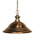 Shark 1 Light Pendant in Polished Brass with Antique Copper Shade