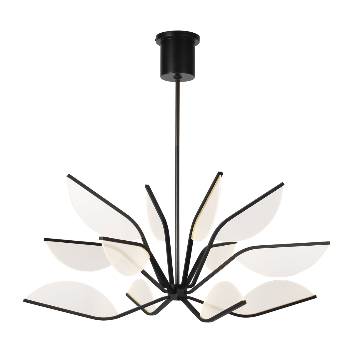Belterra 38" Chandelier in Matte Black