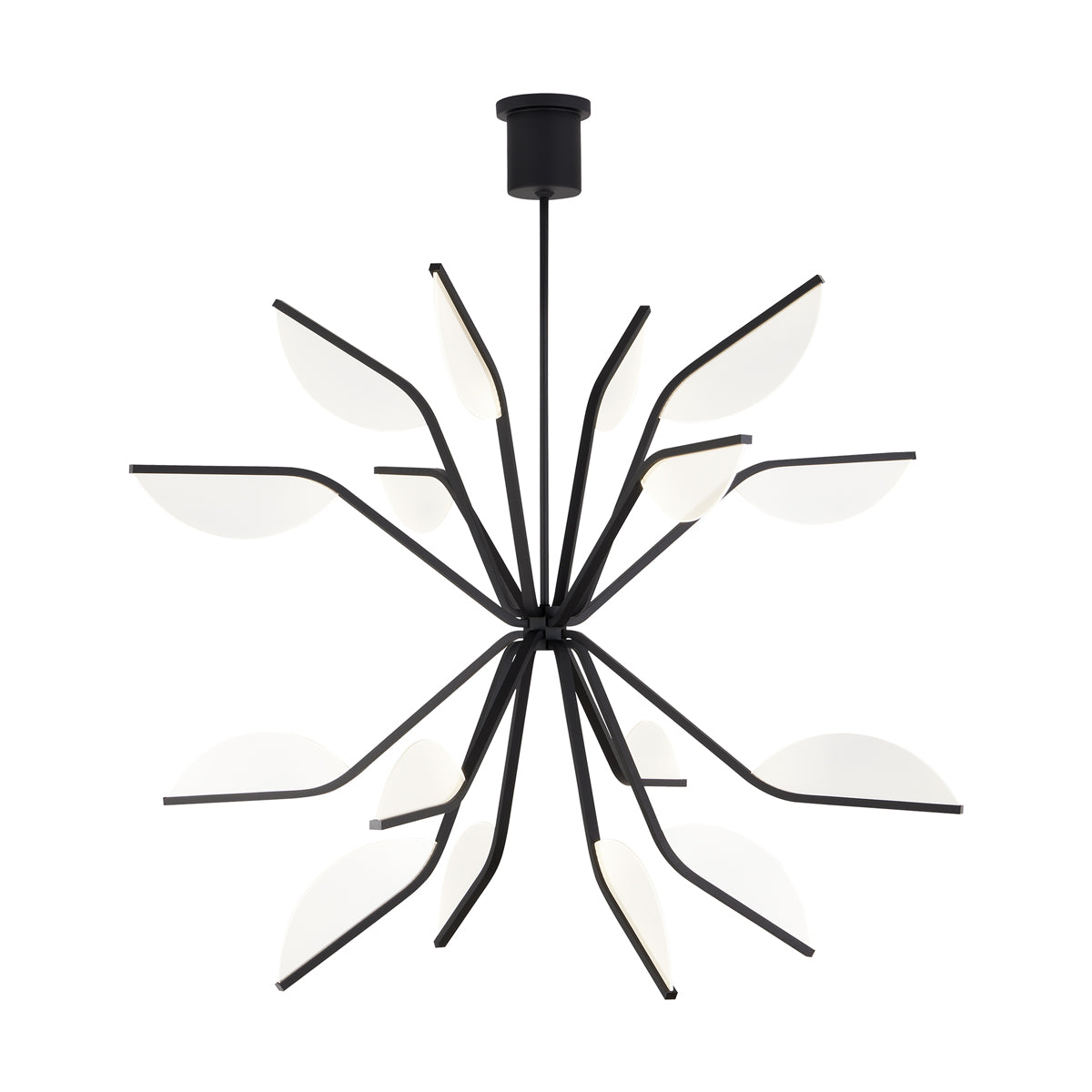 Belterra 43" Chandelier in Matte Black
