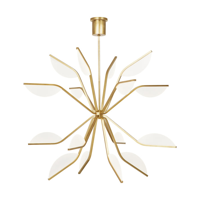 Belterra 43" Chandelier in Natural Brass