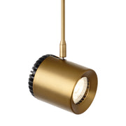 Burk Head in Aged Brass