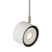 ISO Head in White