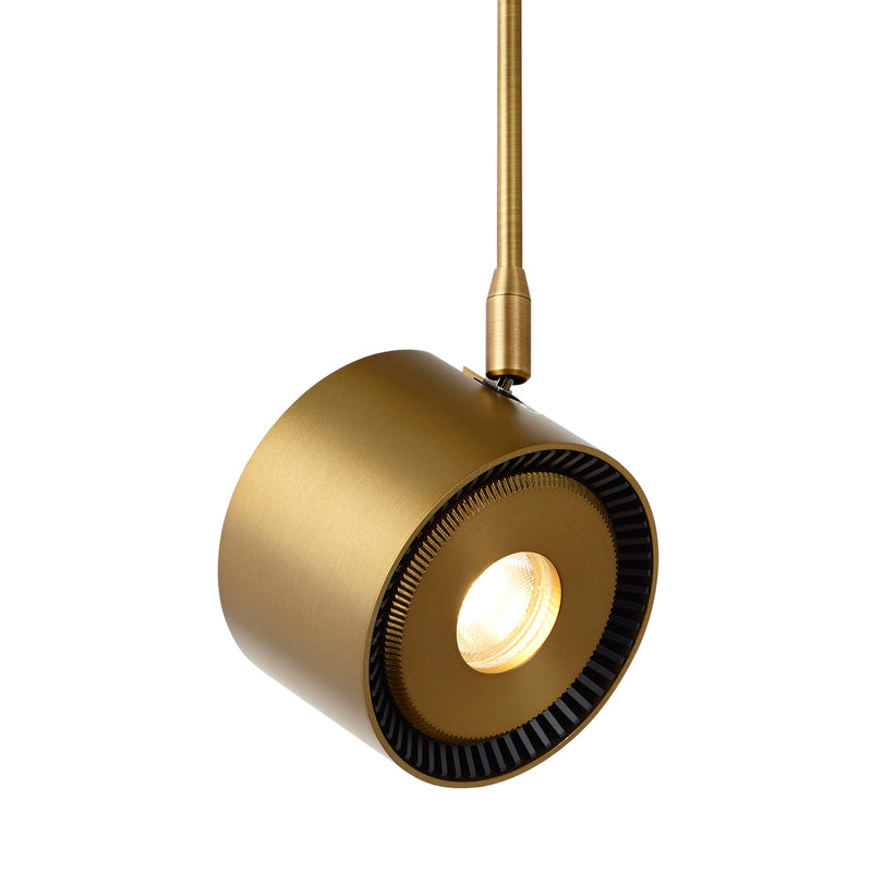 ISO Head in Aged Brass