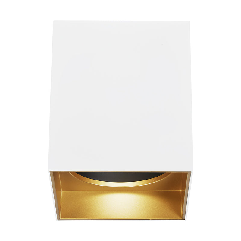 Exo 6" Flush Mount in Gold Haze