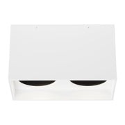 Exo 6" Dual Flush Mount in White