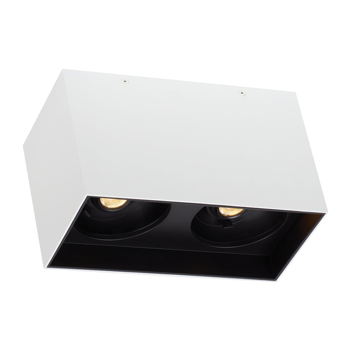 Exo 6" Dual Flush Mount in Black