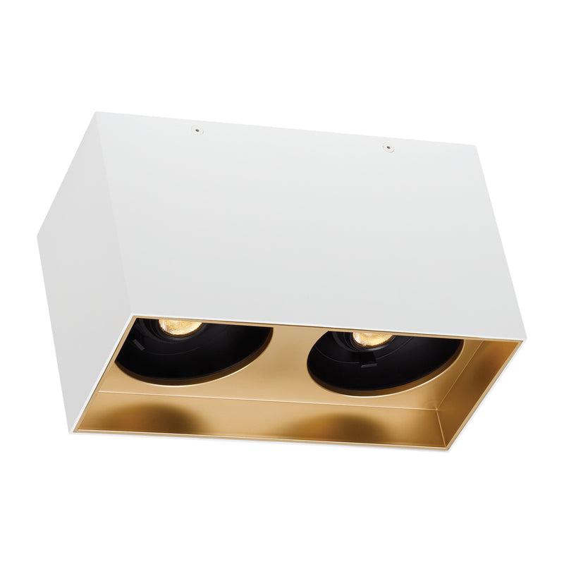 Exo 6" Dual Flush Mount in Gold Haze