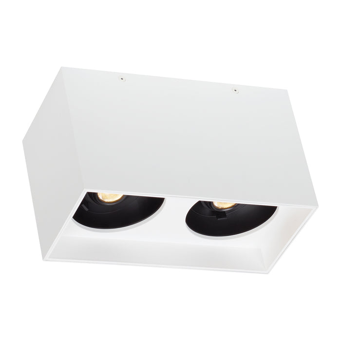 Exo 6" Dual Flush Mount in White