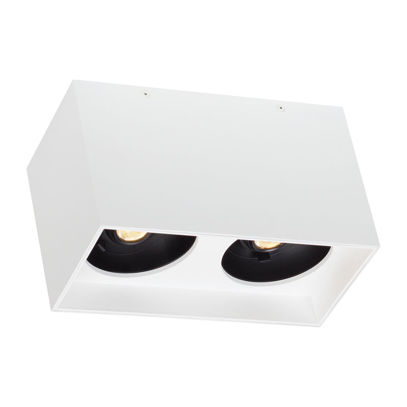 Exo 6" Dual Flush Mount in White