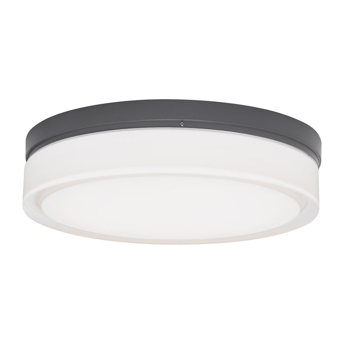 Cirque Large Outdoor Wall Sconce/Flush Mount in Charcoal