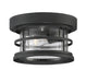 Barrett 1-Light Outdoor Flush Mount in Black