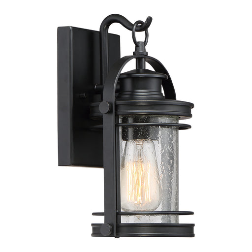 Booker 1-Light Outdoor Lantern in Mystic Black