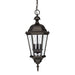 Carriage House 3 Light Outdoor Hanging Lantern in Old Bronze
