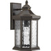 Edition 1-Light Large Wall Lantern with Antique Bronze / Water Glass