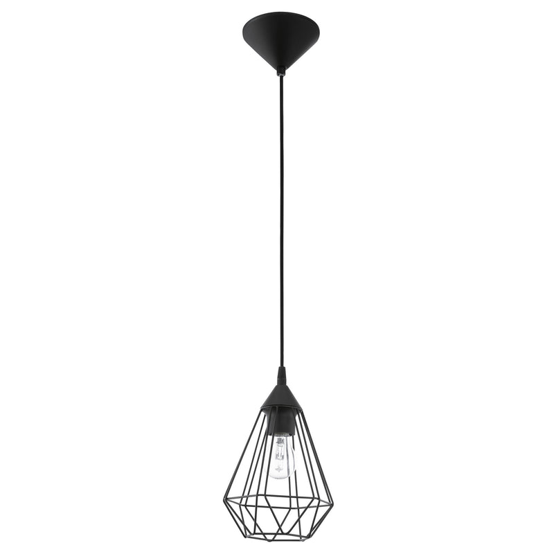 Tarbes 1x100W Cage Pendant With Matte Black Finish