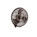 Pola 24 Inch Pola Wall Fan in Satin Natural Bronze