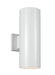 Large Two Light Outdoor Wall Lantern in White with Tempered Glass�Glass