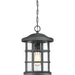 Crusade 1-Light Outdoor Lantern in Earth Black