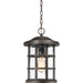 Crusade 1-Light Outdoor Lantern in Palladian Bronze