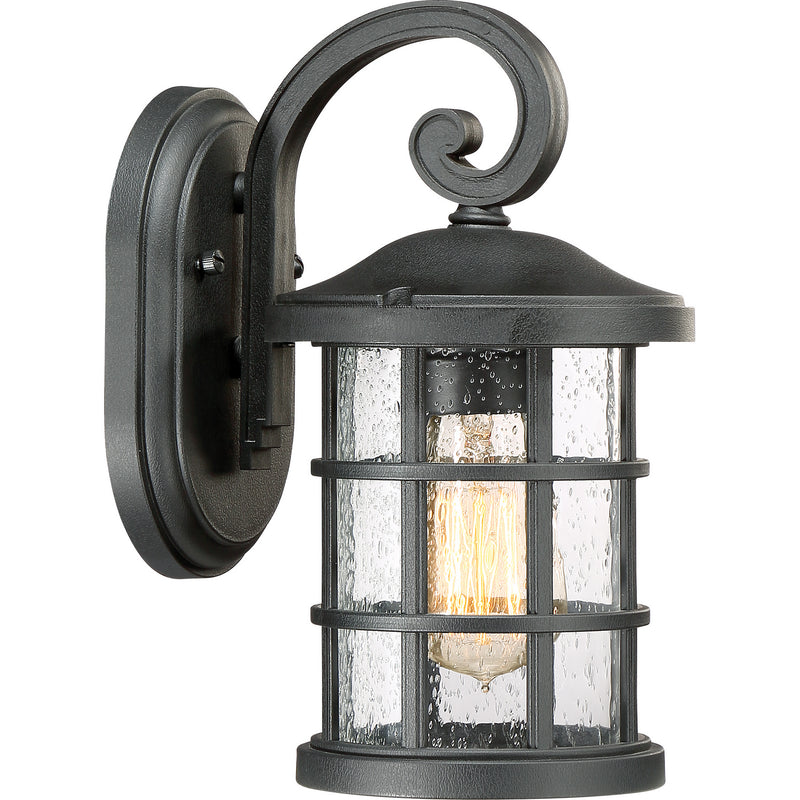 Crusade 1-Light Outdoor Lantern in Earth Black