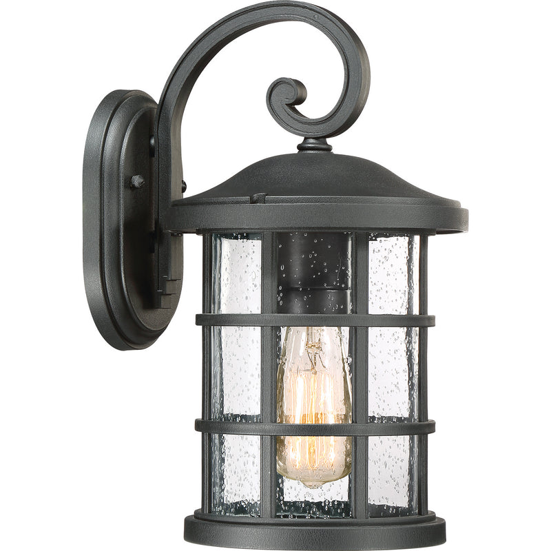 Crusade 1-Light Outdoor Lantern in Earth Black