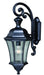 Aberdeen Dualux 10" Outdoor Wall Light in Shiny Black - Lamps Expo