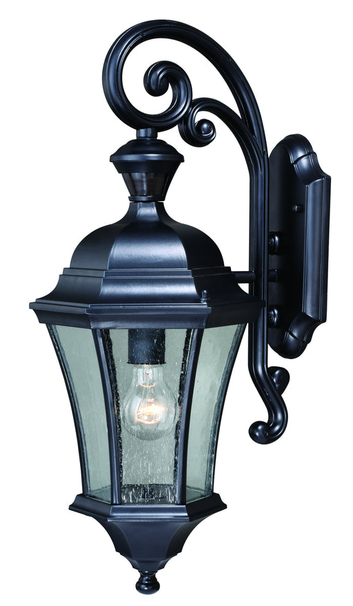 Aberdeen Dualux 10" Outdoor Wall Light in Shiny Black - Lamps Expo