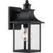 Chancellor 1-Light Outdoor Lantern in Mystic Black