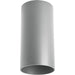 LED Outdoor Flush Mount Cylinder in Metallic Gray