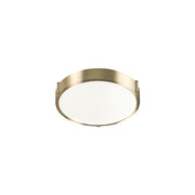 Floyd Flush Mount in  Brass