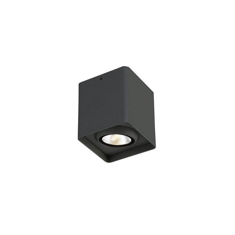 1-Light Outdoor Mount in Graphite Grey