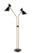 Jared 2-Light Floor Lamp in Antique Bronze Finished with Black Metal Shade, E27 G 60Wx2