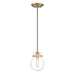 Sidwell 1-Light Mini Pendant in Weathered Brass