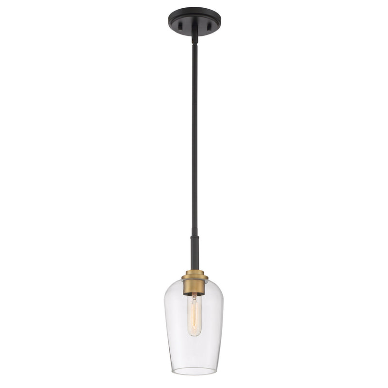 Sagamore 1-Light Mini Pendant in Earth Black