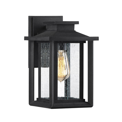 Wakefield 1-Light Outdoor Lantern in Earth Black