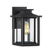Wakefield 1-Light Outdoor Lantern in Earth Black